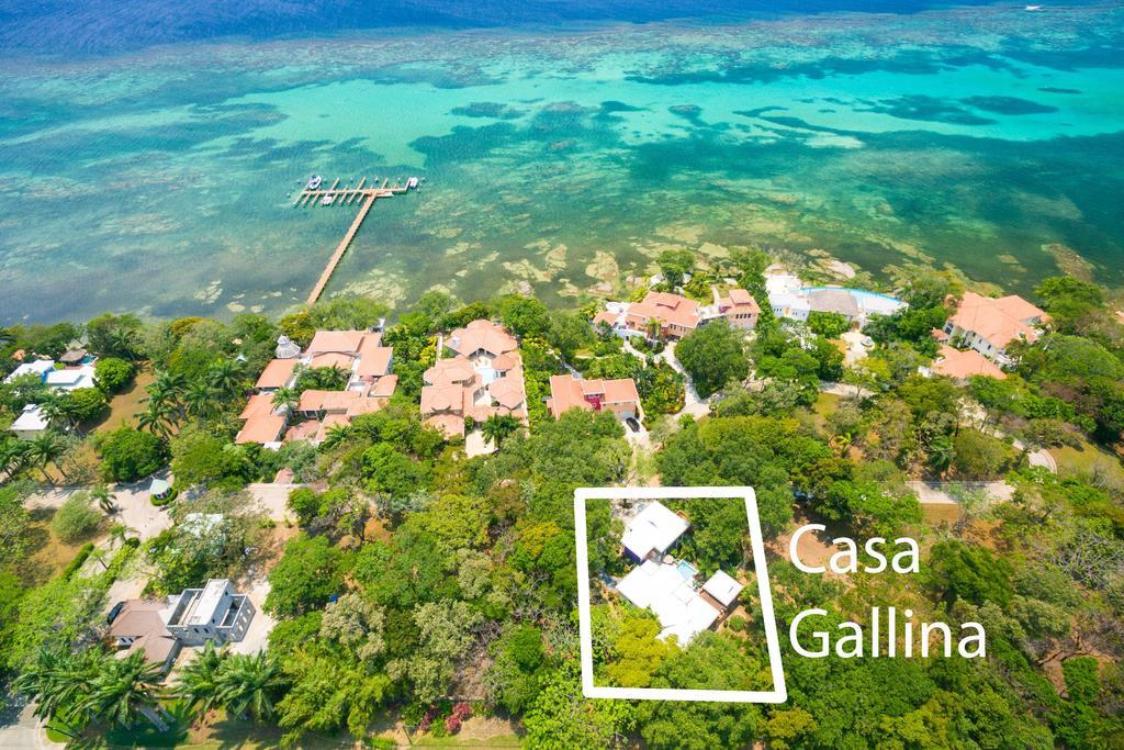 Casa Gallina Sandy Bay Exterior photo